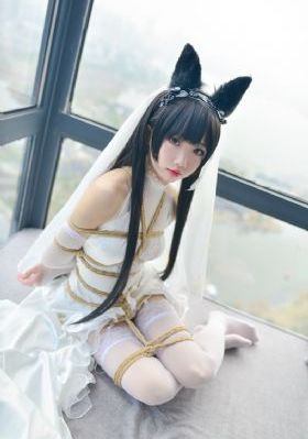日韩一级不卡